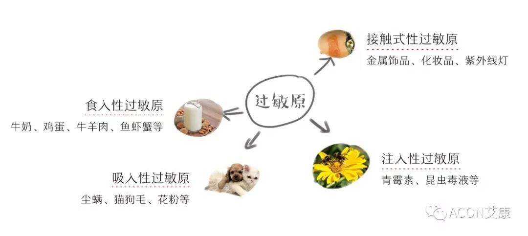 APAAACI 2019 | 深入解讀過敏原：從診斷到治療，優(yōu)化過敏原診斷管理——艾康生物過敏原檢測(cè)分會(huì)