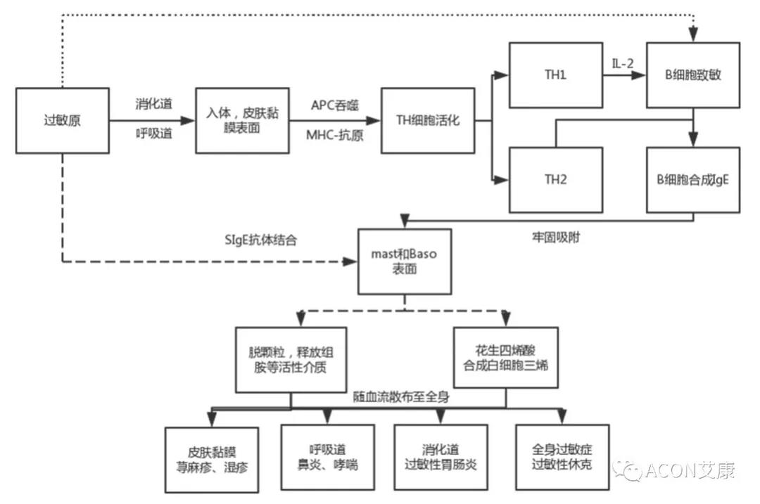 APAAACI 2019 | 深入解讀過敏原：從診斷到治療，優(yōu)化過敏原診斷管理——艾康生物過敏原檢測(cè)分會(huì)