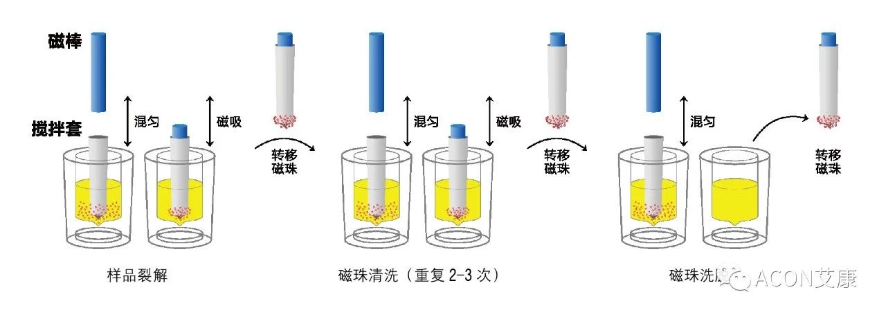 Promotor?核酸提純儀， 讓基因提純更便捷。