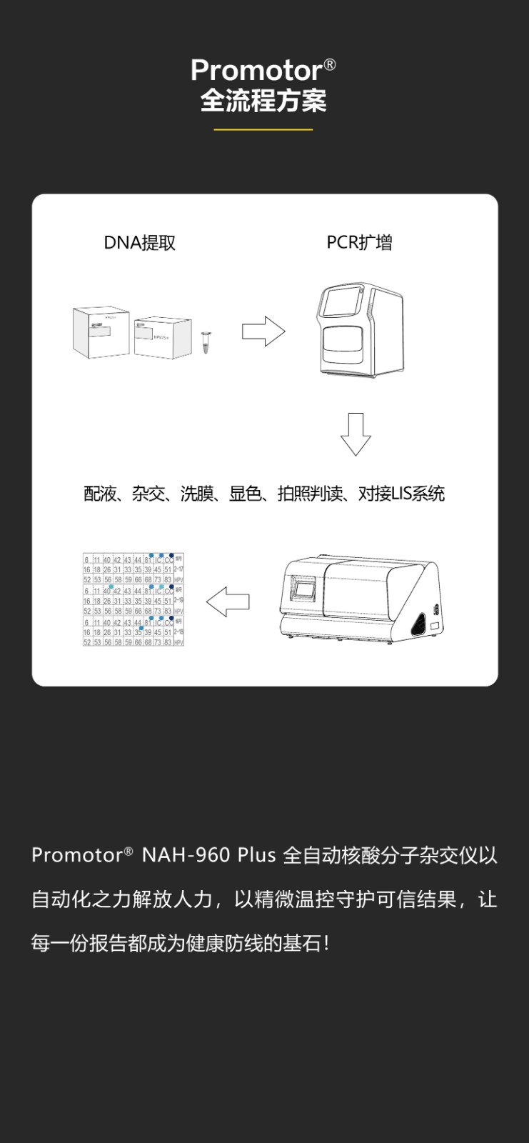 全自動(dòng)核酸分子雜交儀960_08.jpg